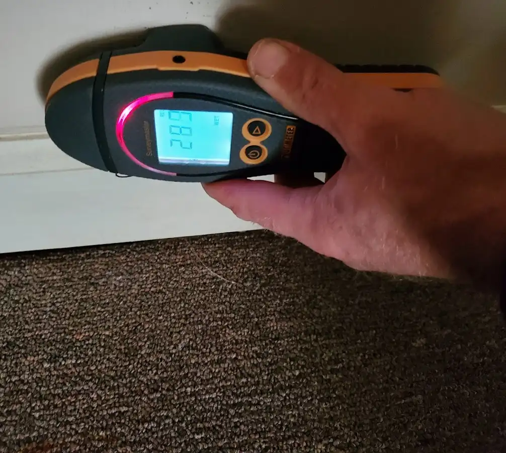 Moisture detection at baseboard during Mold Inspection & Testing in Perry